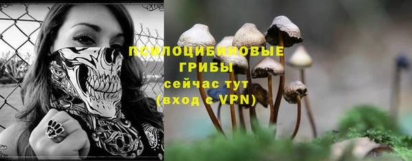 сатива Володарск