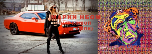 сатива Володарск