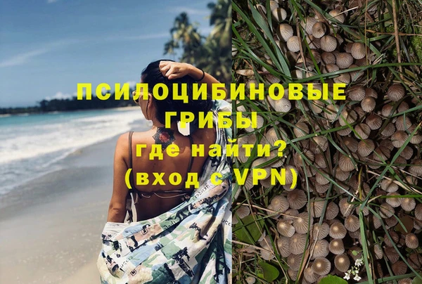 крисы Волоколамск