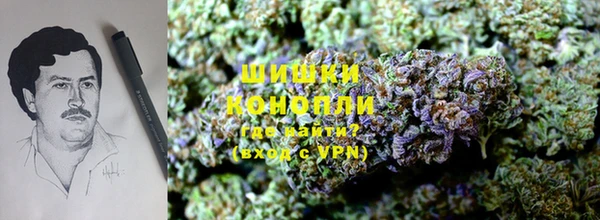 крисы Волоколамск