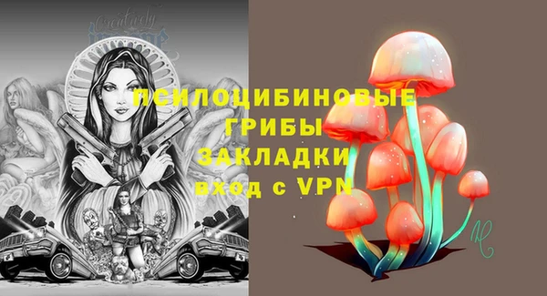 сатива Володарск