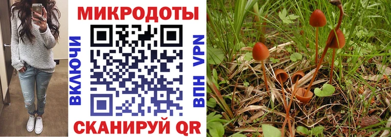 Псилоцибиновые грибы прущие грибы  купить  сайты  Пойковский 