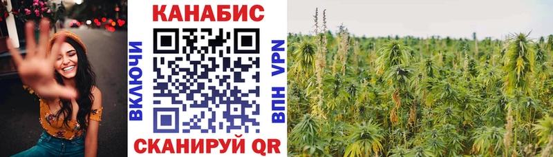 дарк нет как зайти  Пойковский  Каннабис MAZAR 